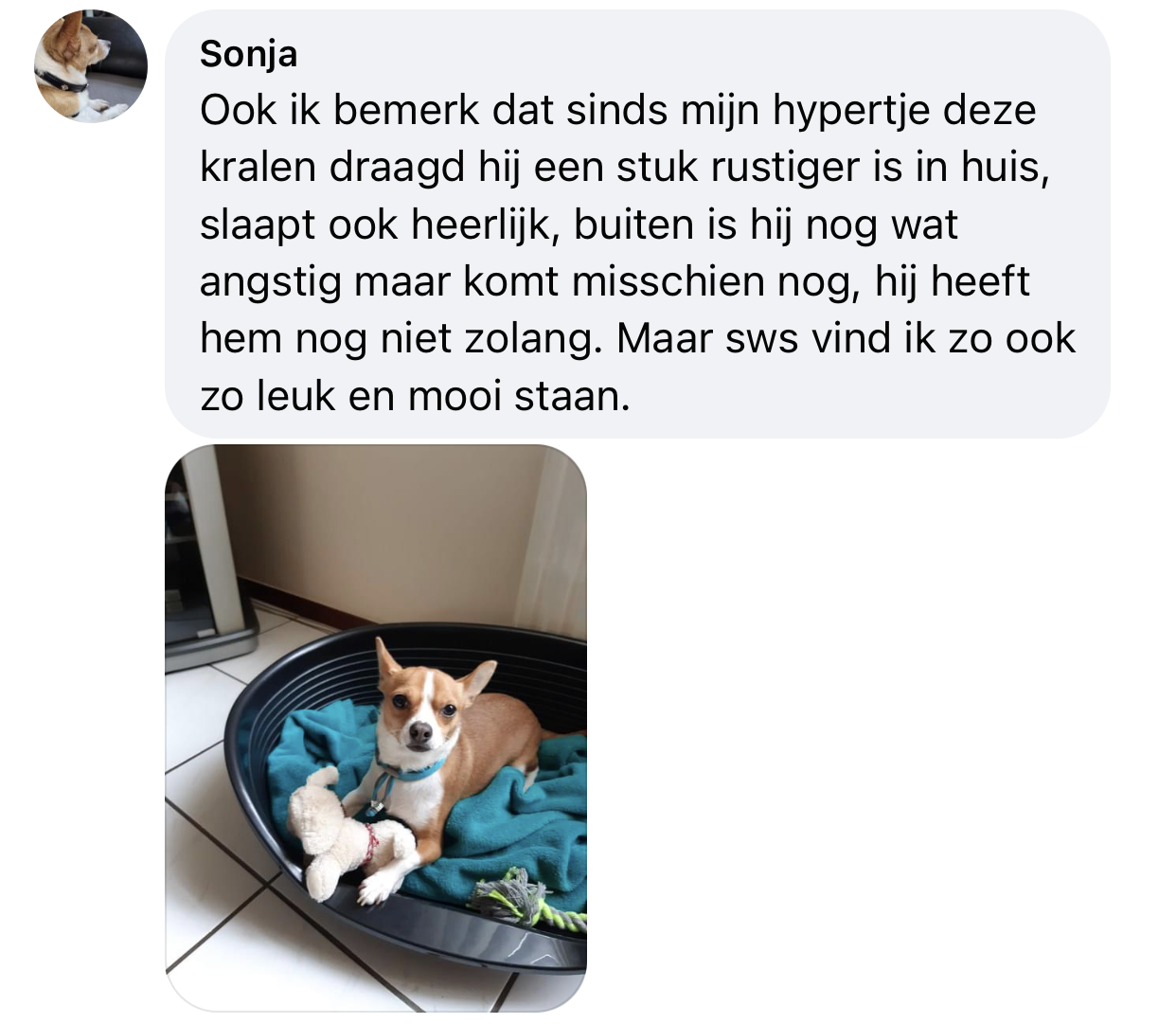 Rustigere hond door anti-tekenband em keramiek ervaring