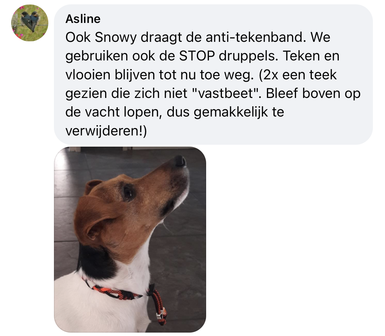 STOP druppels en EM kralenketting ervaring