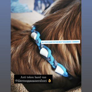 Tekenband hond turquoise grijs