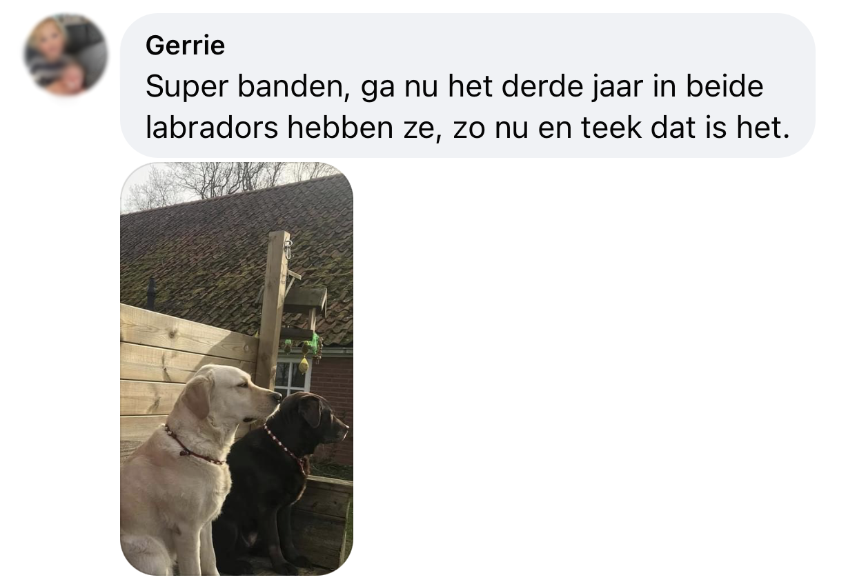 Tekenband werkt al drie jaar lang