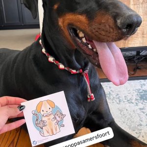 tekenketting hond