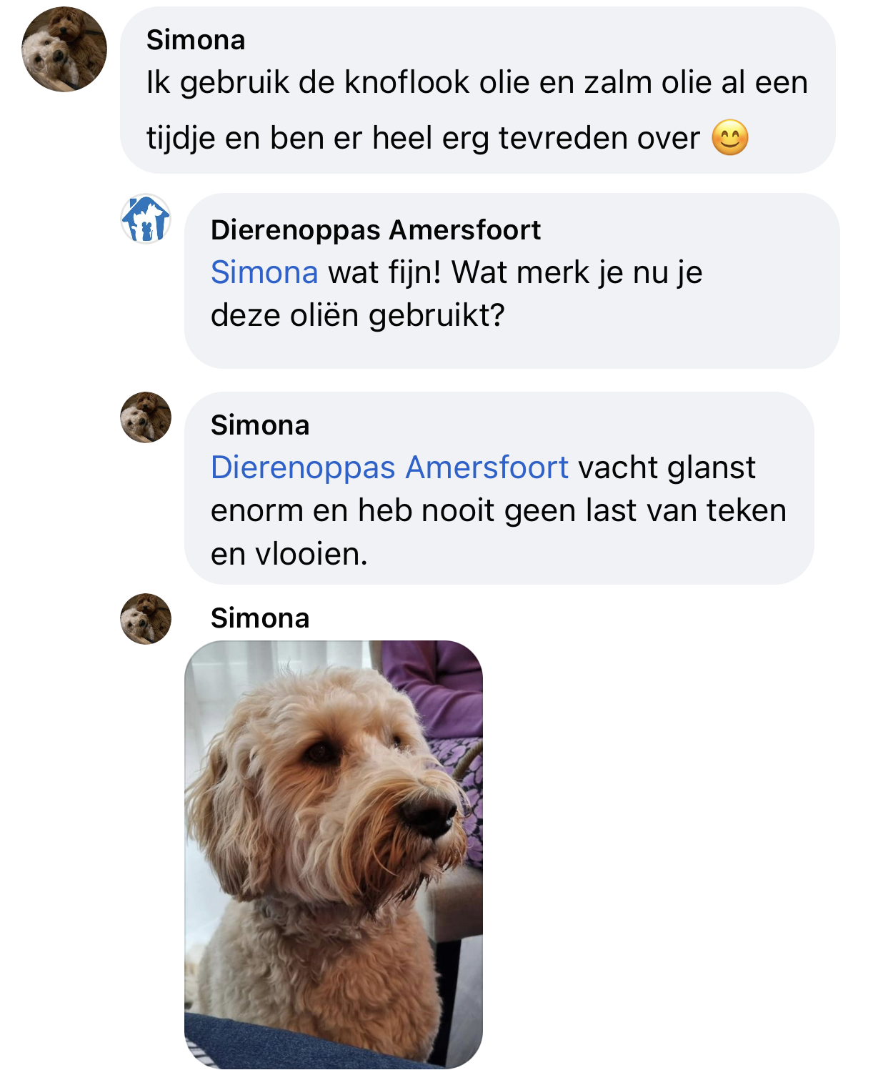 Ervaringen zalmolie hond