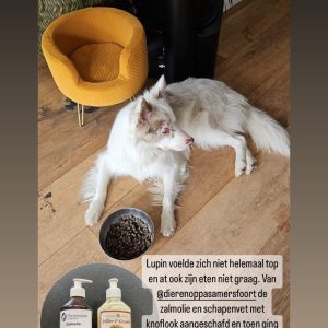 Schapenvet knoflook en zalmolie hond ervaring