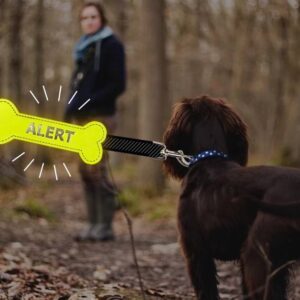 Yellow Alert Bone gele strik botje hond afstand geel lint kopen bestellen online ervaringen