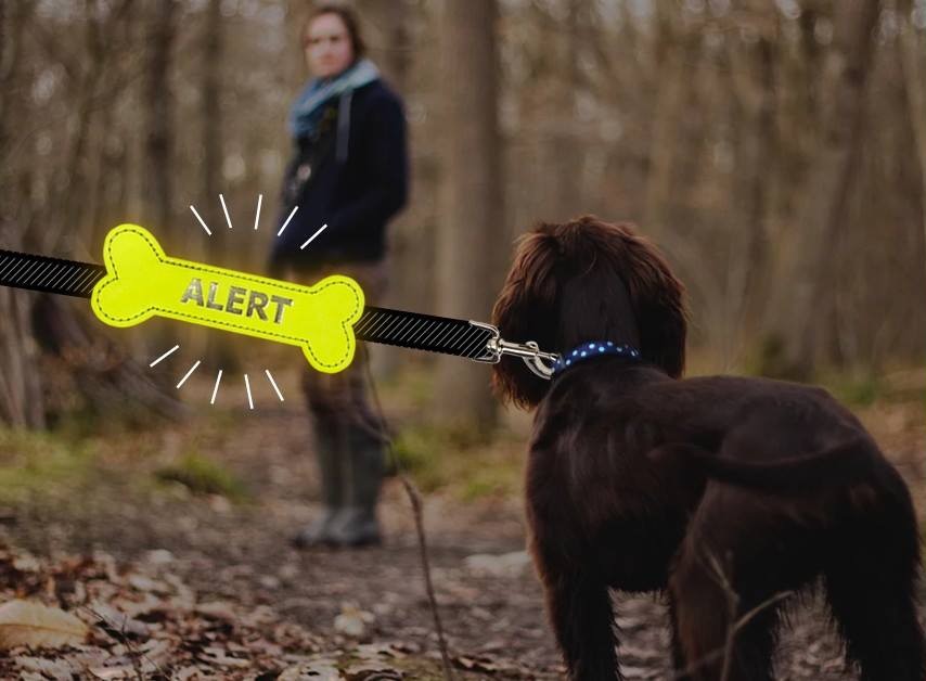 Meer afstand: Yellow Alert Bone hond! - Geel bandje, & lintje