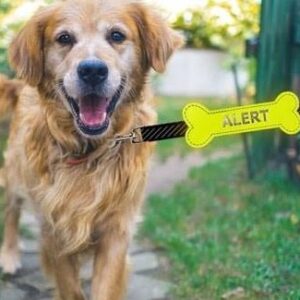 Yellow Alert Bone gele strik botje hond afstand geel lint kopen bestellen online ervaringen