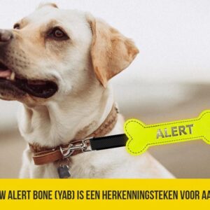 Yellow Alert Bone gele strik botje hond meer afstand geel lint kopen bestellen online ervaringen