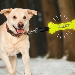 Yellow Alert Bone gele strik botje hond meer afstand geel lint kopen bestellen online ervaringen puppy