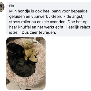 Ervaring stressdruppels hond vuurwerk angst overprikkeling ervaring