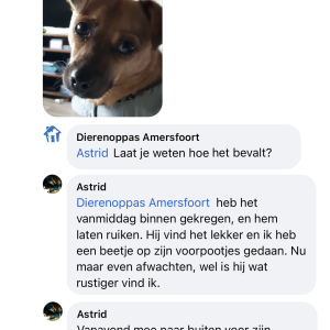 Ervaring stressdruppels hond vuurwerk angst overprikkeling vuurwerkmix