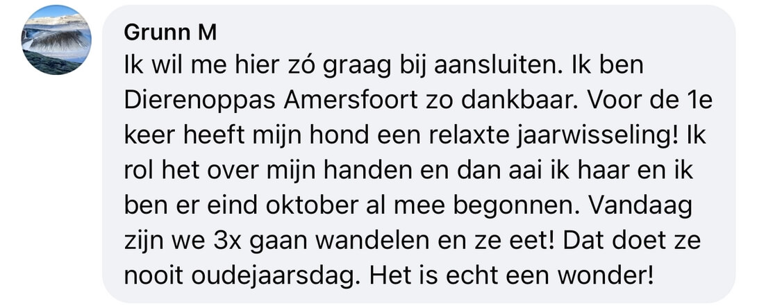 Hond angst vuurwerk kalmeringsmiddel
