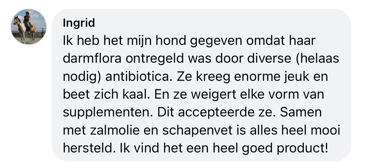 Hond darmflora ontregeld diarree veel jeuk en kale plekken natuurlijk middel bokashi