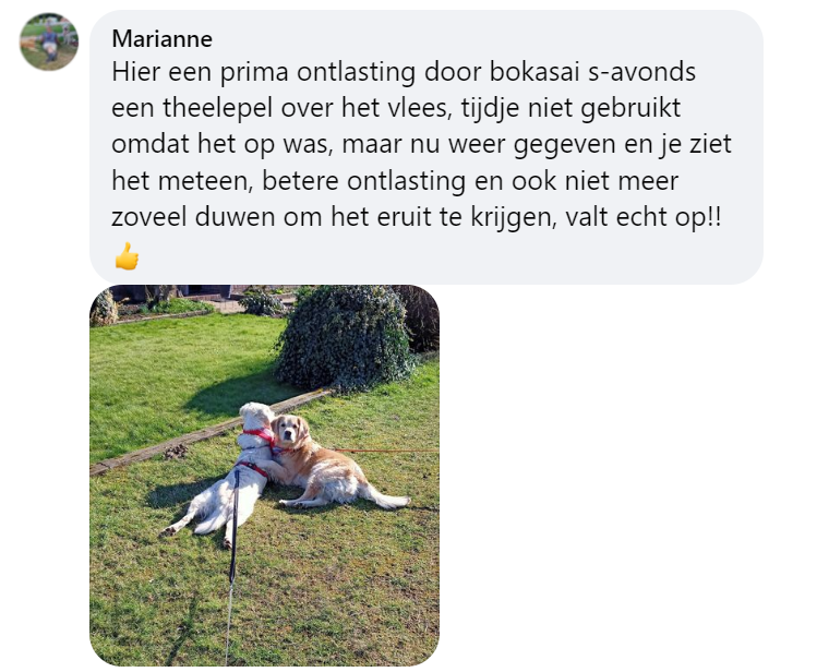 Hond gezonde ontlasting supplement door vers vlees bokashi goede darmen