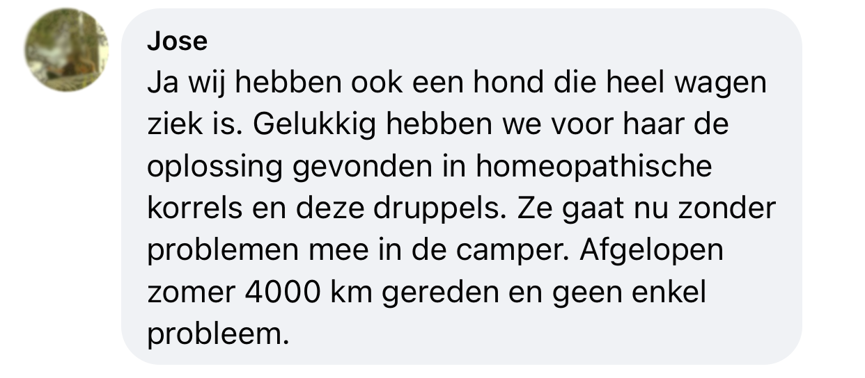 Hond wagenziek misselijk en gestrest in auto autorijden autoziek natuurlijk middel