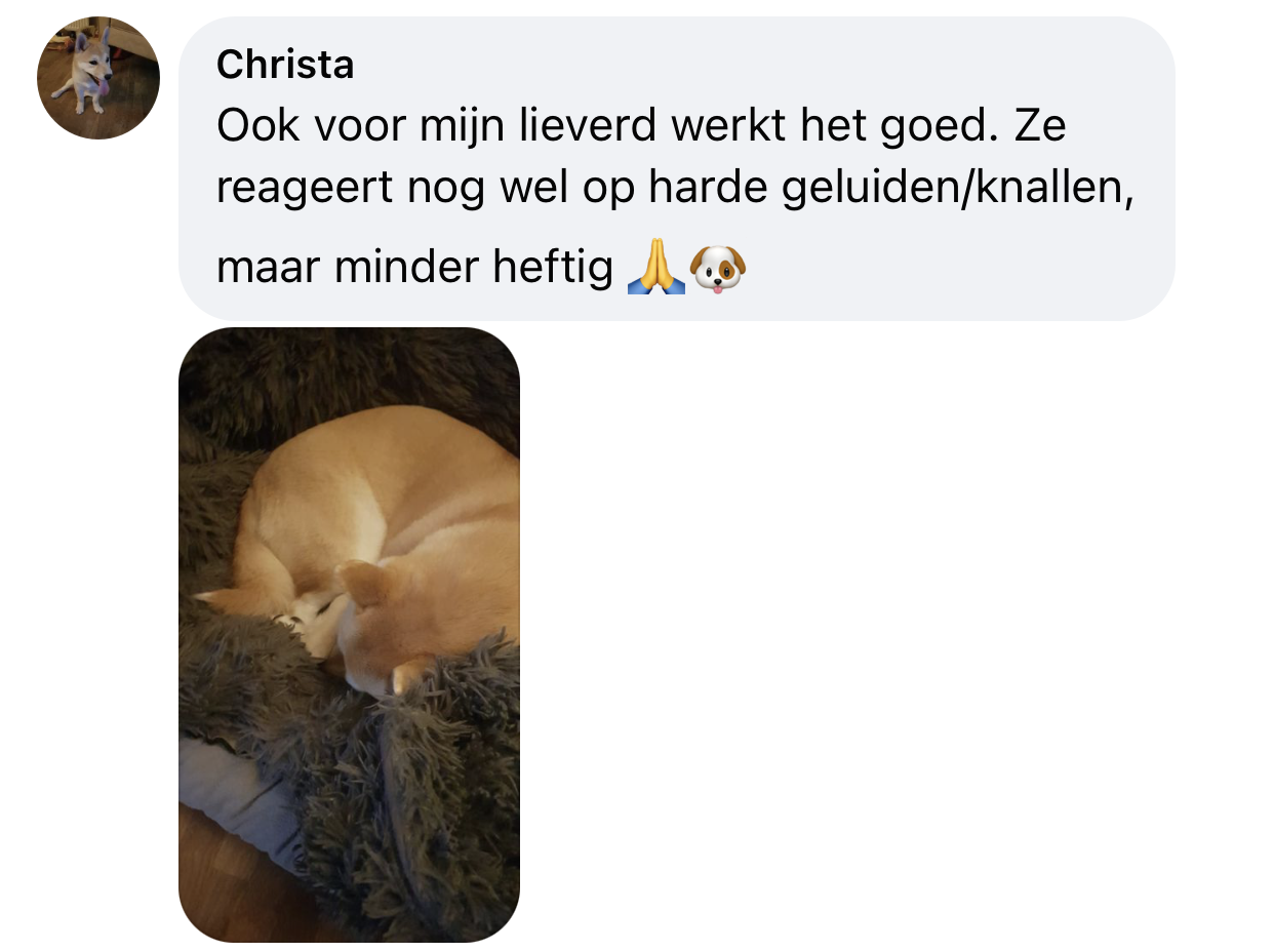 Kalmerend middel hond bij angst en stress ervaring