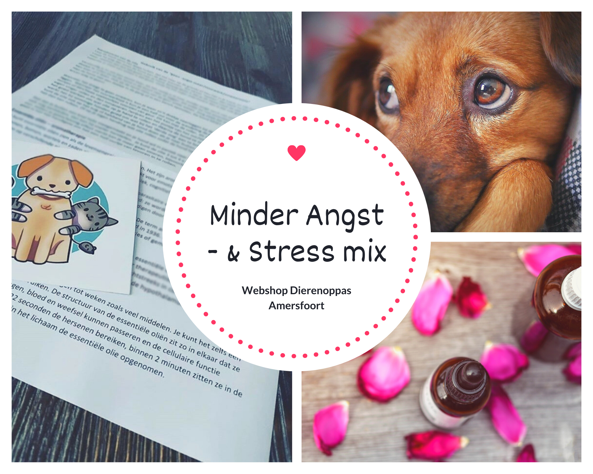 Vuurwerkmix Hond Effectief Middel Bij Vuurwerkangst Stress Hond 10ml