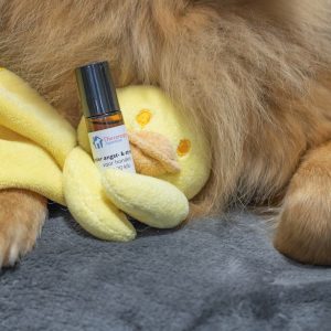 Natuurlijk rustgevend middel vuurwerk hond sterk kalmeringsmiddel aromatherapie druppels ervaringen