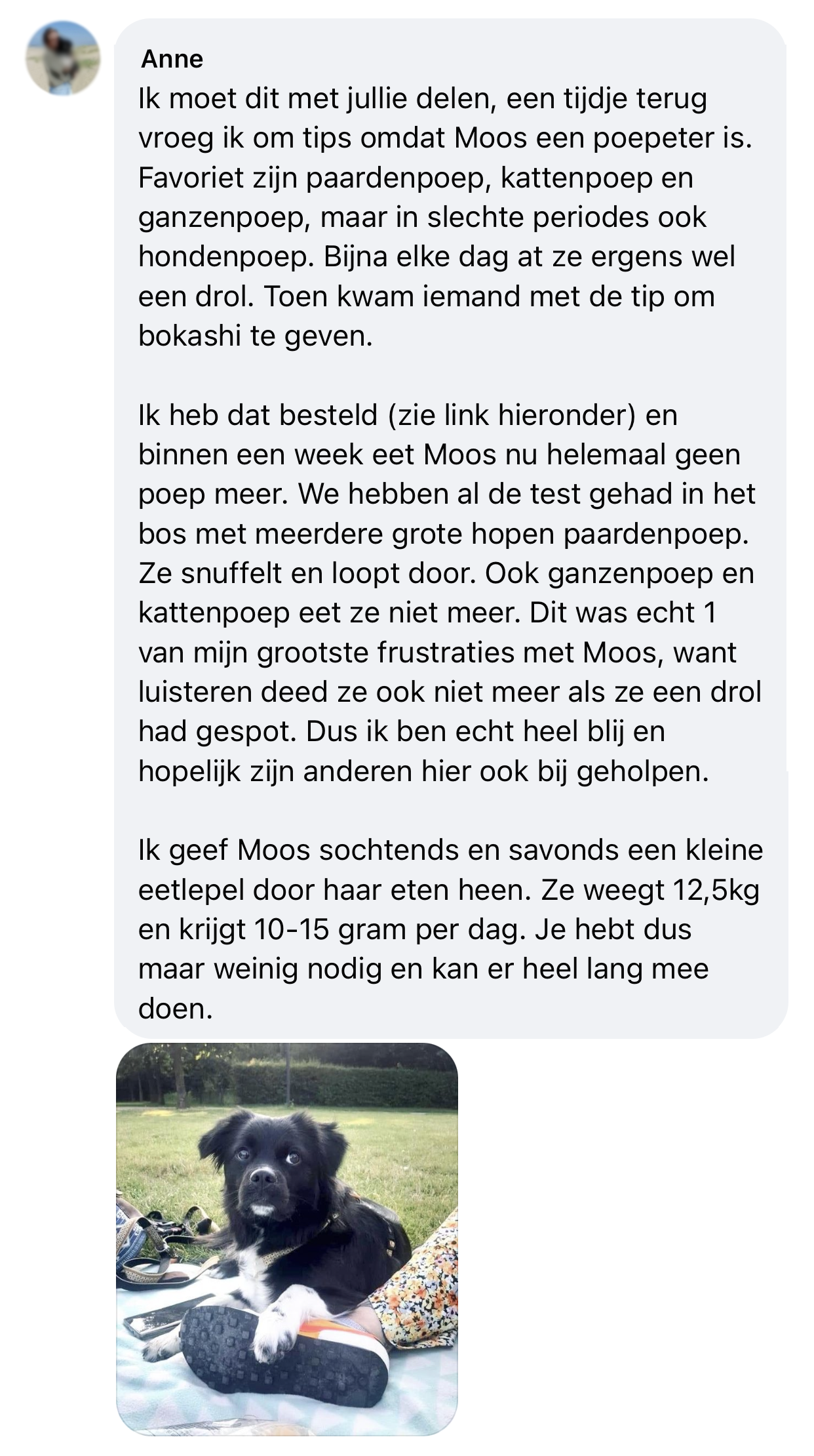 Probiotica hond ervaring poep eten