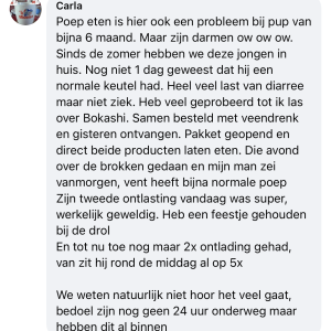 Probiotica hond tegen diarree