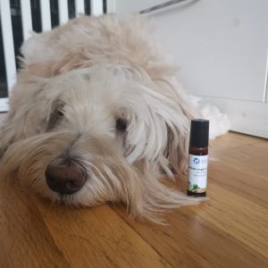 Rustgevend middel vuurwerk hond sterk kalmeringsmiddel aromatherapie druppels ervaringen angst stress