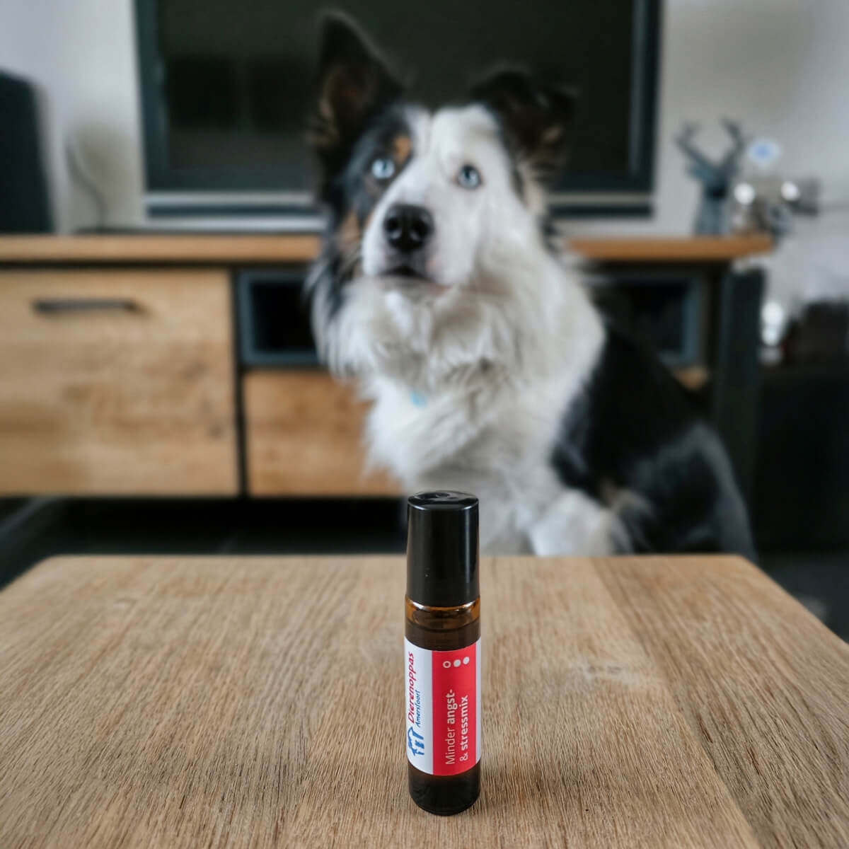 Sterk kalmeringsmiddel hond vuurwerk