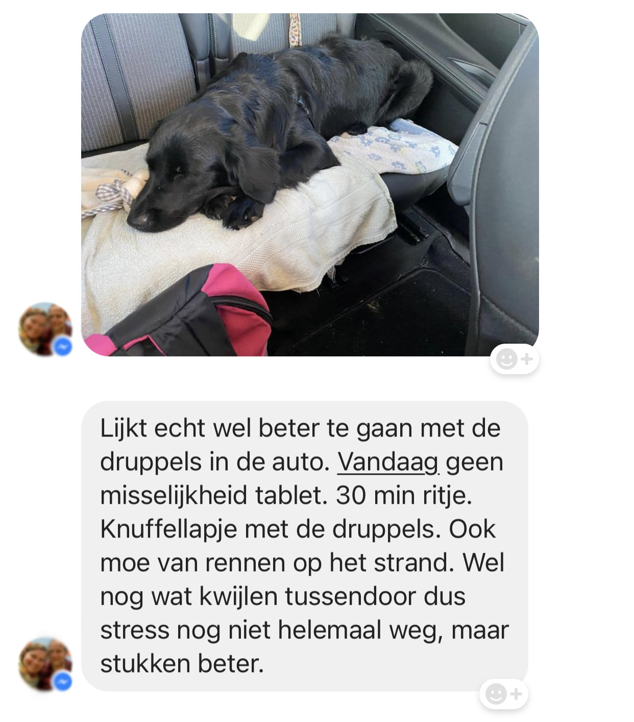 Wagenziekte autoziekte hond misselijk bang zenuwachtig auto natuurlijk middel