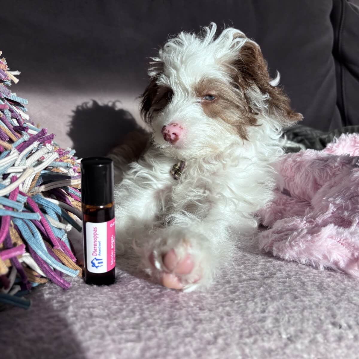 rustgevende druppels hond overprikkeling