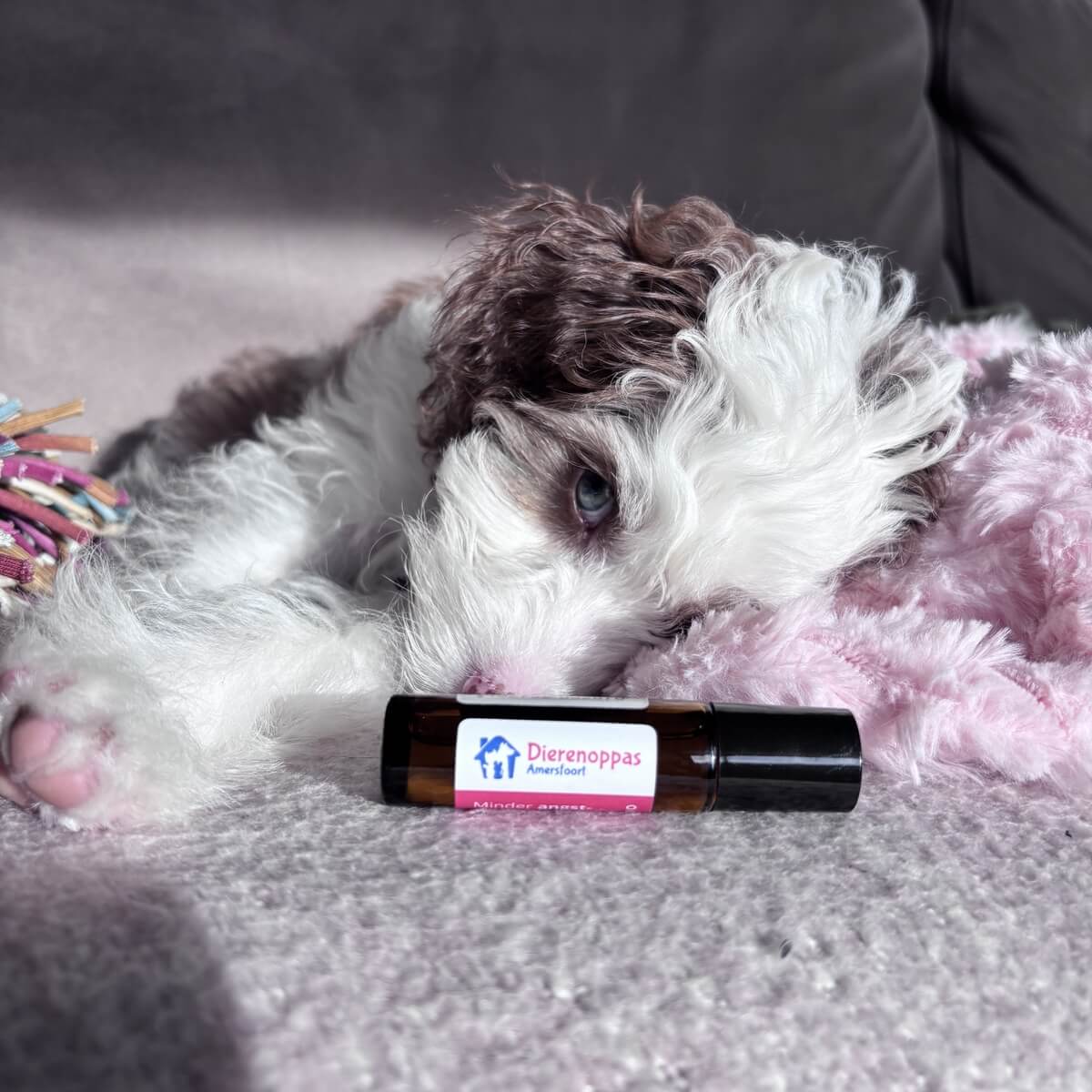 rustgevende druppels puppy overprikkeling