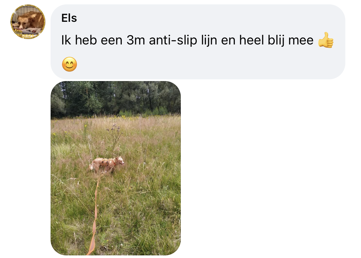 Anti sliplijn hond lange lijn 3 meter wandelen