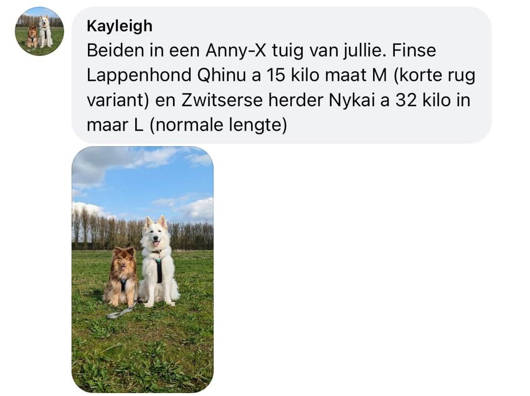 Korte rug hond annyx