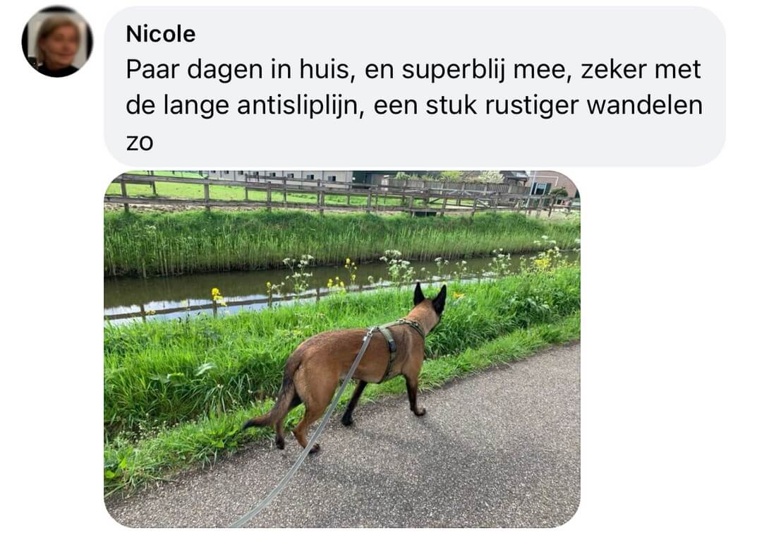 Lange lijn hond minder trekken