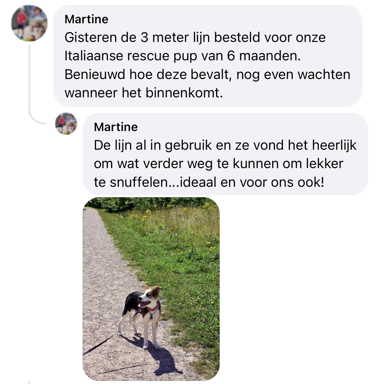 Lange lijn meer snuffelen hond