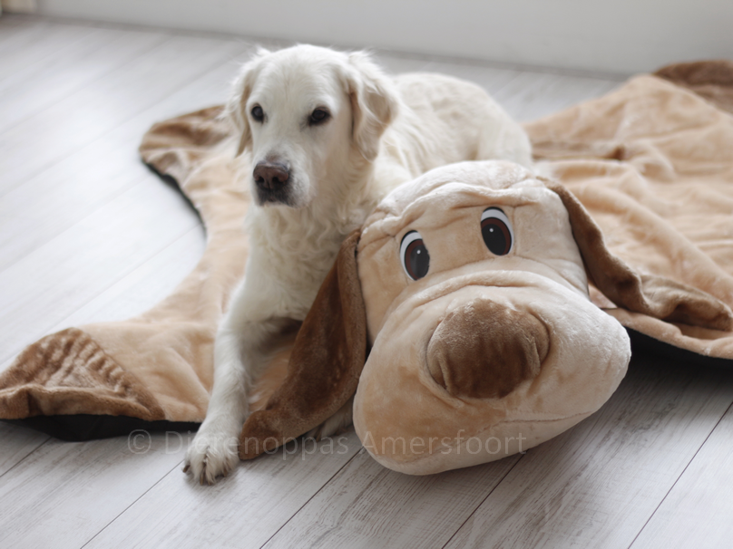 Slaapkleed met hondenkop hondenmanden hondenkussens ligplek hond