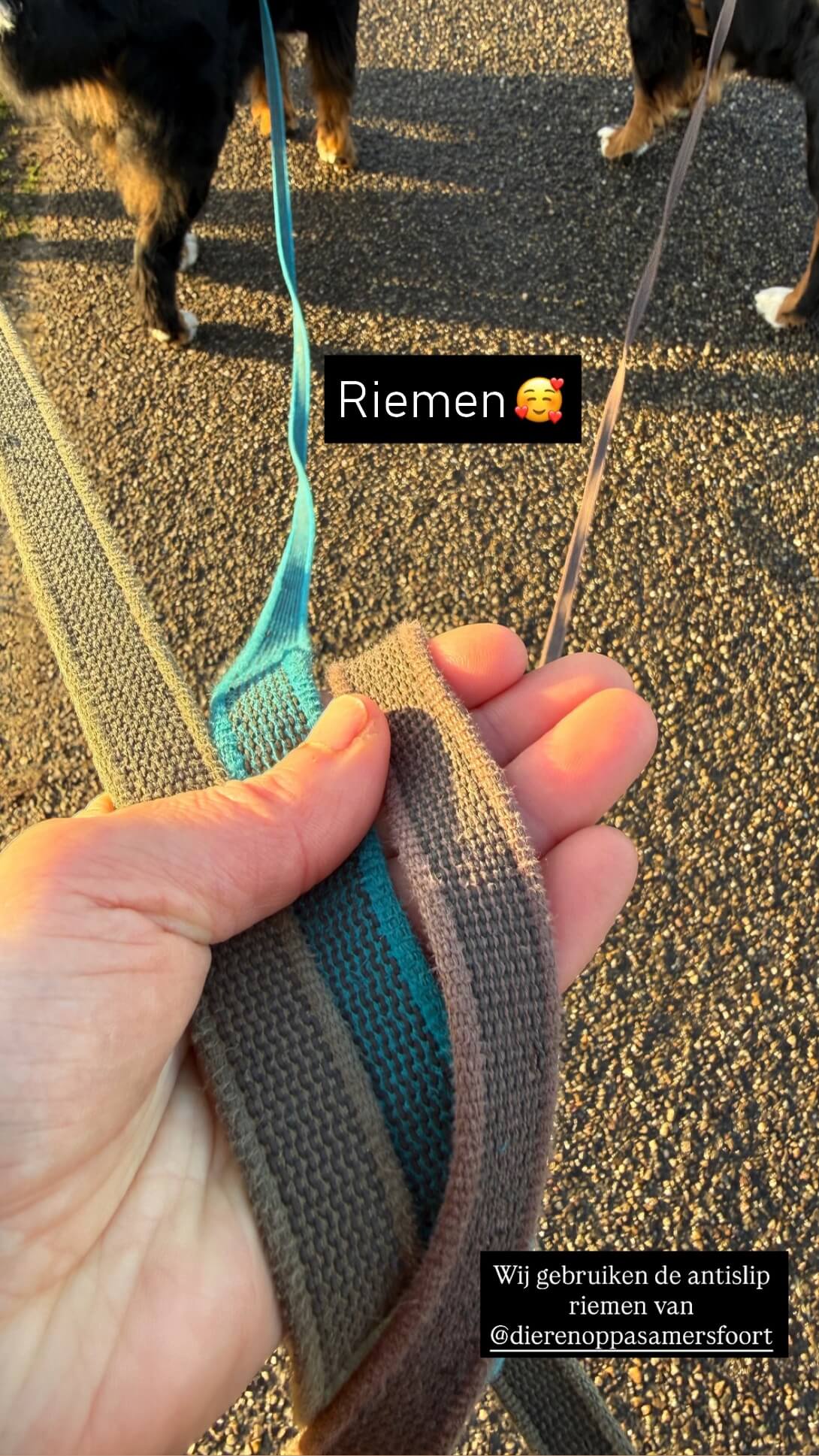 lange lijn hond 10 meter antislip