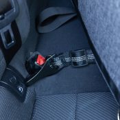 Autogordel bungee hond met isofix