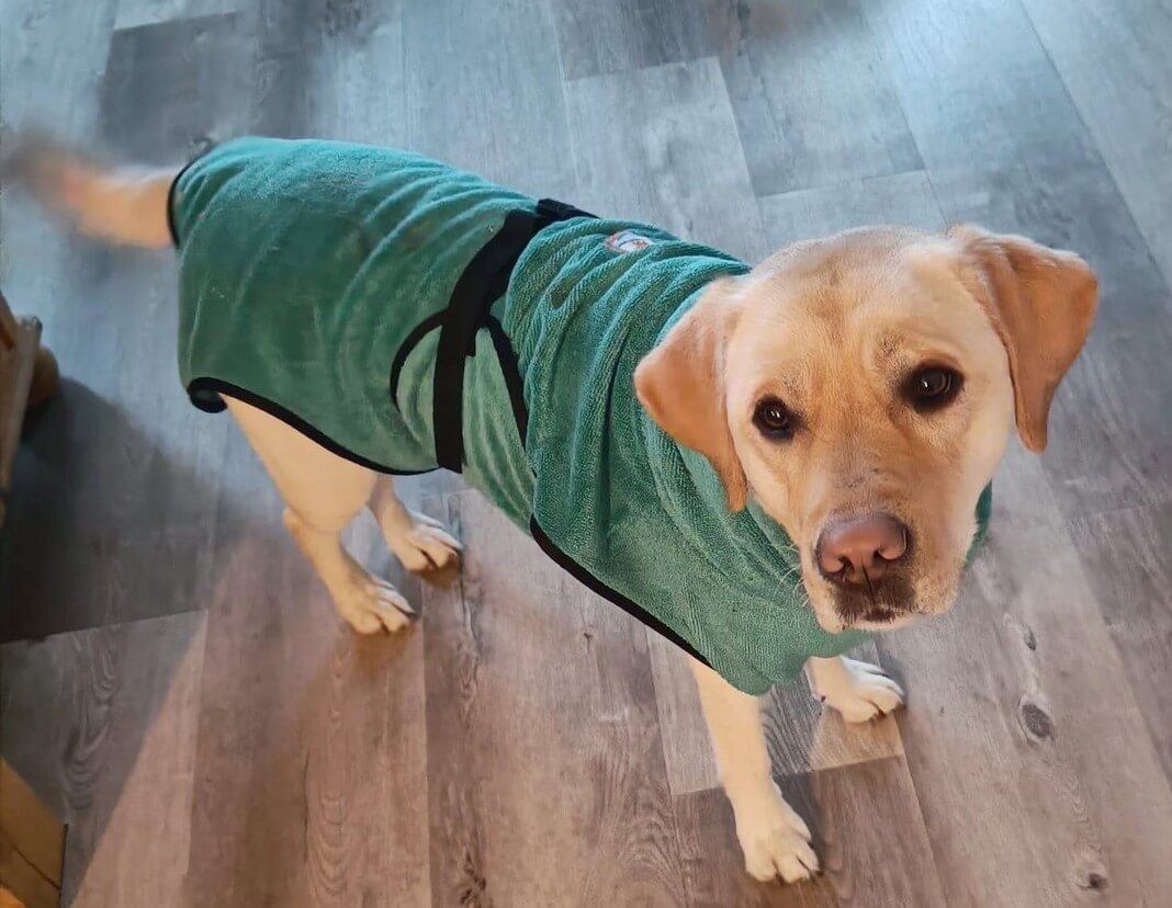 Badjas Labrador hondenbadjas badjas voor honden maat M