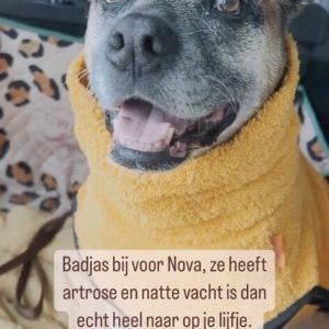 Badjas hond katoen