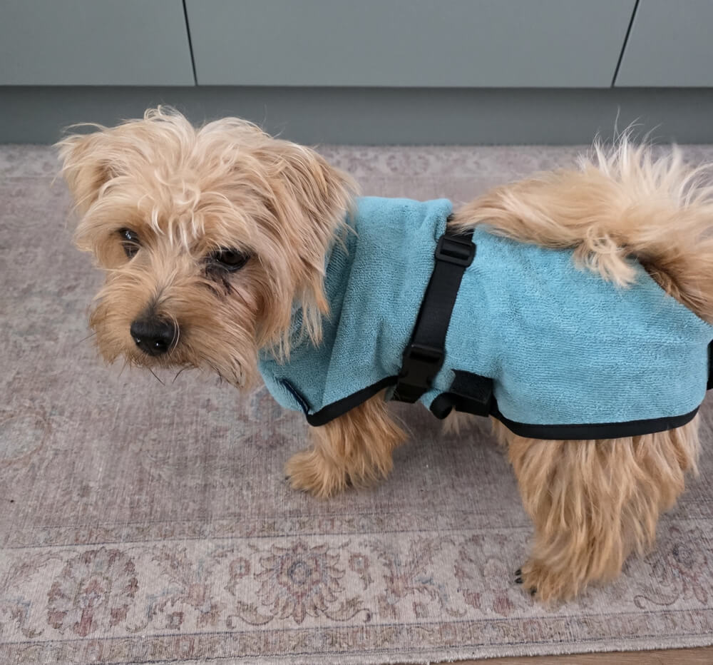 Badjas klein hondje mini