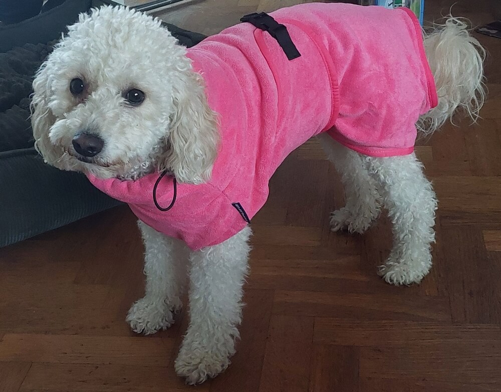 Badjas labradoodle roze