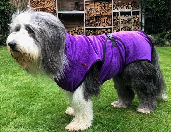 Bearded Collie badjas hond