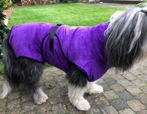 Bearded Collie hondenbadjas