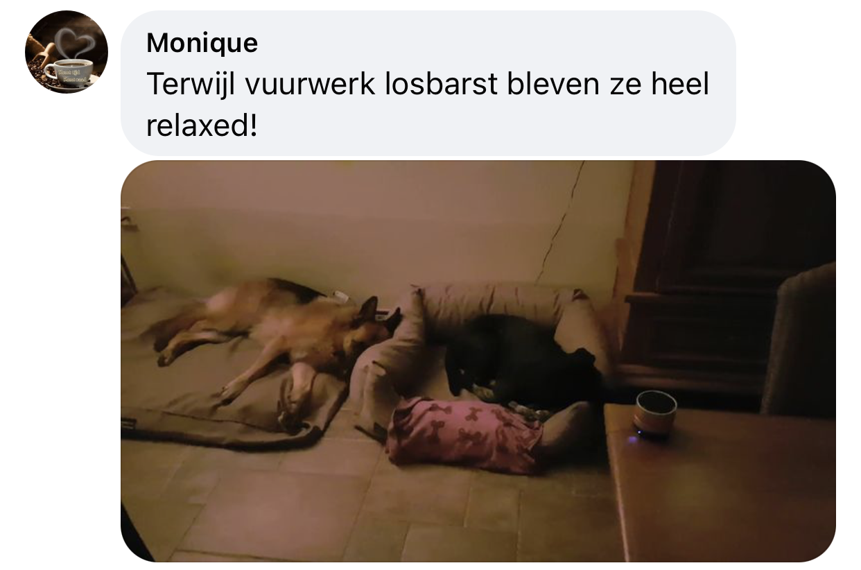 Ervaring relaxopet dog pro hond