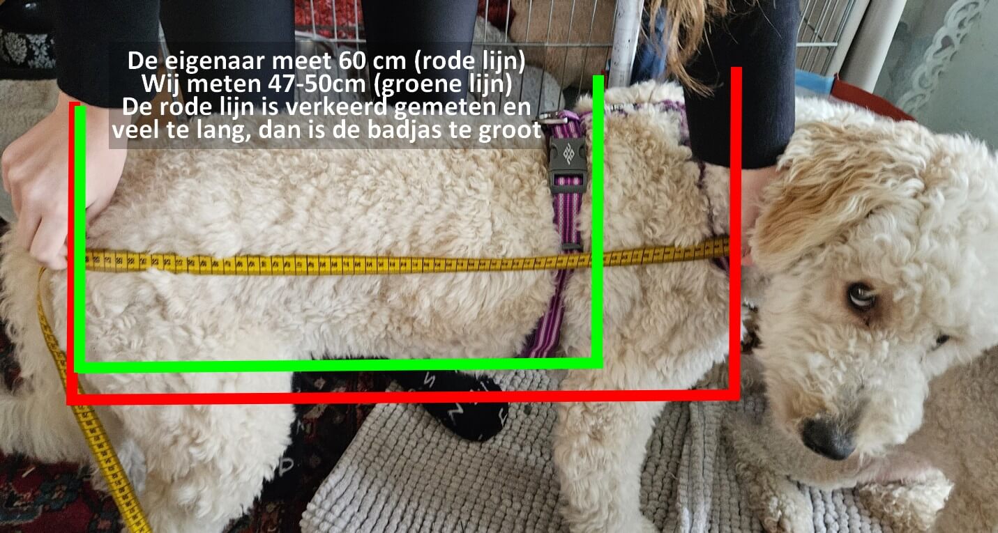 Hoe hondenbadjas opmeten hond