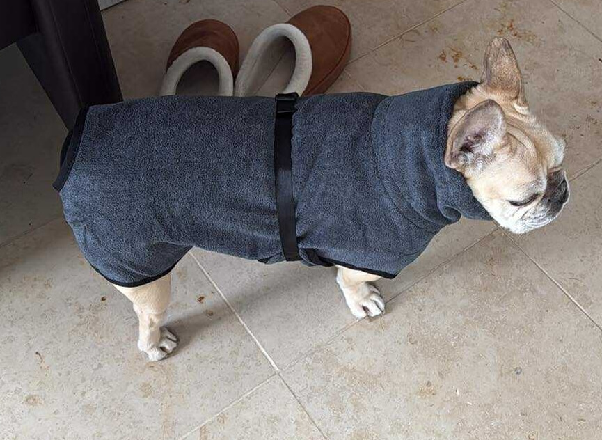 Hondenbadjas badjas franse bulldog