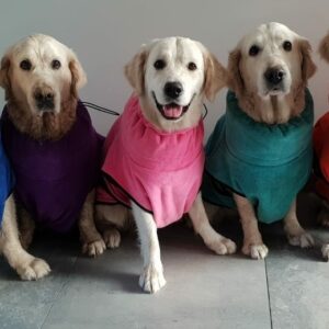 Hondenbadjas met naam badjas hond action op maat 10 kleuren en maten