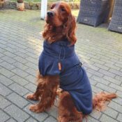 Hondenbadjas badjas badcape voor hond Ierse Setter hydrotherapie action met naam kleur grijs