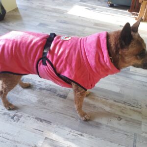 Hondenbadjas badjas voor hond australian cattledog hydrotherapie kleur roze