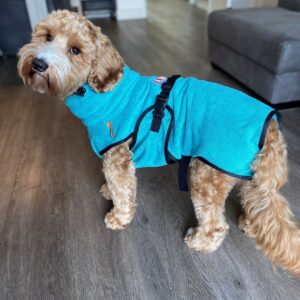 Hondenbadjas badjas met naam voor hond labradoodle hydrotherapie action kleur aquablauw