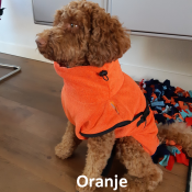 Hondenbadjas badjas voor hond labradoodle hydrotherapie kleur oranje