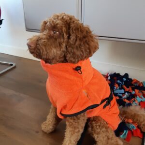 Hondenbadjas badjas voor hond labradoodle hydrotherapie kleur oranje